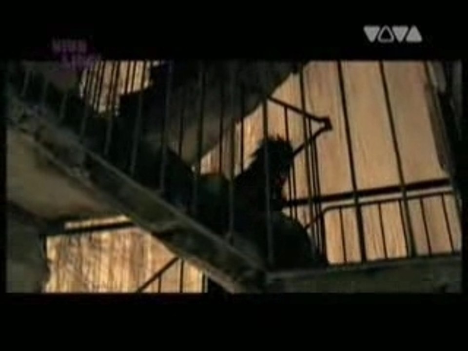 Tokio Hotel - Spring Nicht Video