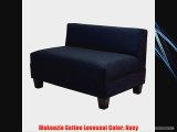 Makenzie Settee Loveseat Color: Navy