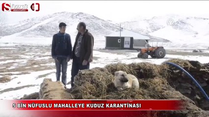 5 bin nüfuslu mahalleye kuduz karantinası