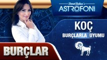 KOÇ BURCU VE DİĞER BURÇLAR