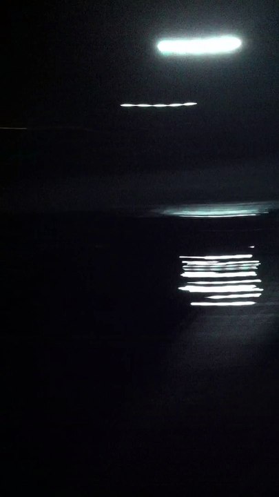 Mudcrab In The Dark