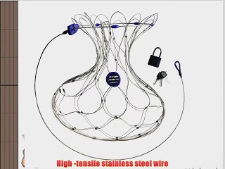 Pacsafe C35L-Silver Anti-Theft Camera Bag Protector (Silver)