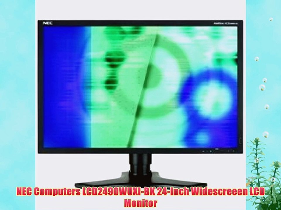 NEC Computers LCD2490WUXI-BK 24-Inch Widescreeen LCD Monitor