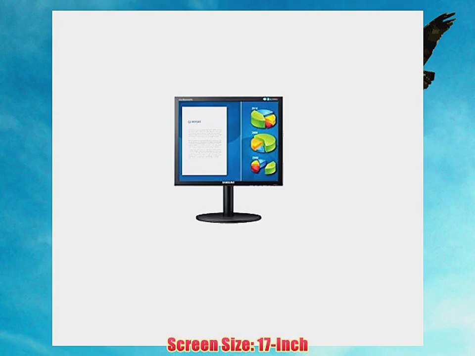 Samsung B1740R 17-Inch 1280 x 1024 5ms 16.7M High Performance LCD Monitor