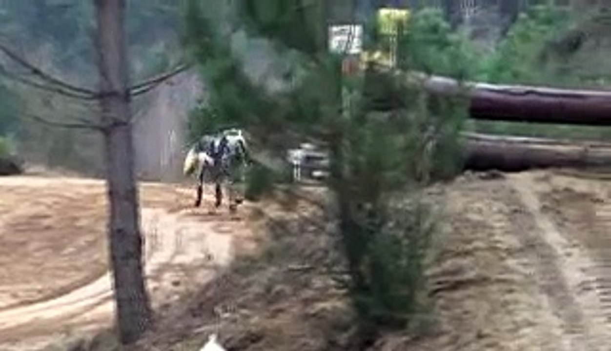 Uriel de Tassine  Poney Français de Selle 7 ans - CCE Mars 15