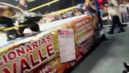 Professional Wrestler Dies from hit During Live Match