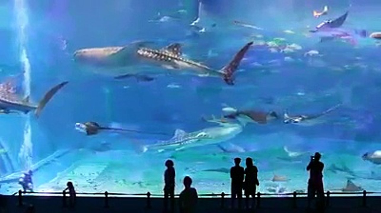 Amazing Place inside Water  Dubai