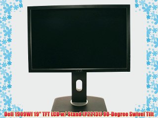Dell 1909Wf 19 TFT LCD w/ Stand (P2213t) 90-Degree Swivel Tilt