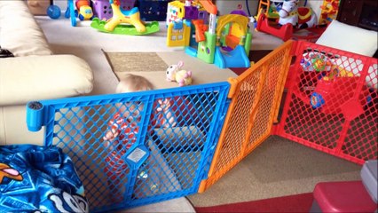 24 Hours With 5 Kids on a Sunny Day