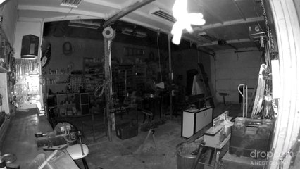 Araignée en mode Mission Impossible