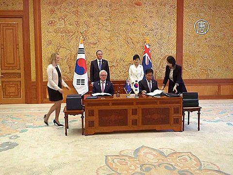 Новая Зеландия и Корея создадут зону свободной торговли