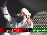 Kuttay Ki Waffadari By Maulana Tariq Jameel sahb live