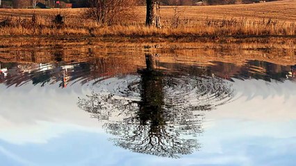 Step by step Photoshop Tutoria that How to Add a RIPPLING WATER REFLECTION to a Photo from Scratch Part 22 - Education4u