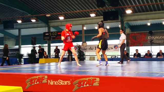 Championnat de France Sanda 2015 Finale Alexandra round 2