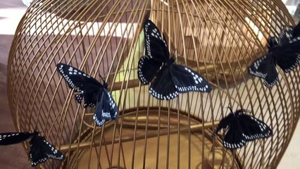 Evvel İstanbul örnek daire 3+1 görüntüleri!