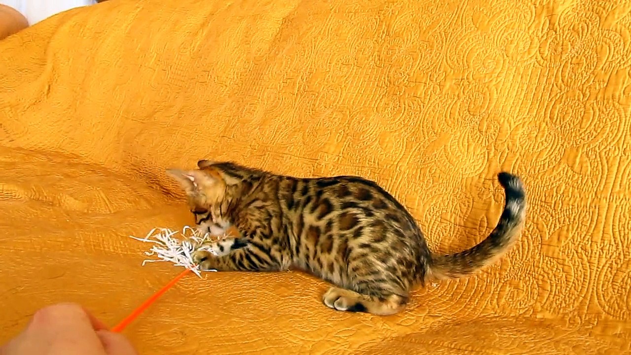 Девочка №1