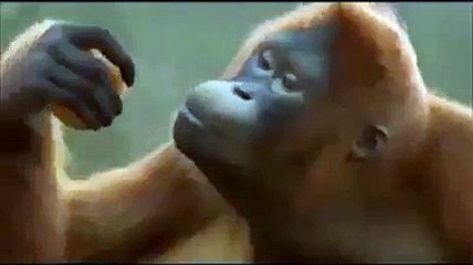 Jitna bhai Imran Jitna - superb supporter of imran khan