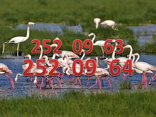 menemen mıtsubıshı servisi 252 09 **