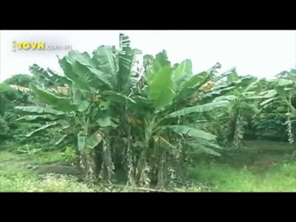3, 2, 1 Action -- Phim ngắn pow mang (Nằm mơ) -- Knifeomaty