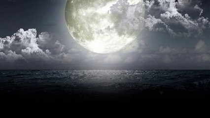 İsmail Tunçbilek Derdin Ne