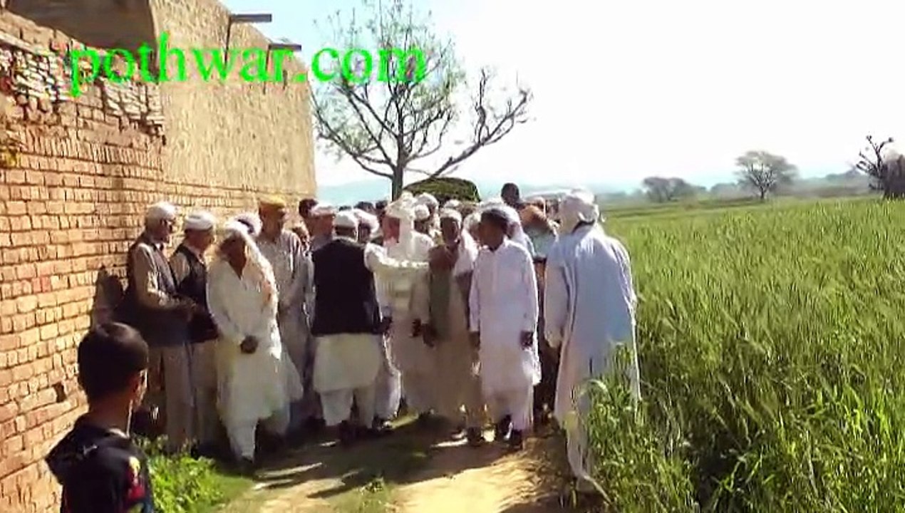 Dhok dolal