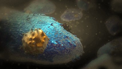 كيف يهاجم فيروس ايبولا جسم الانسان