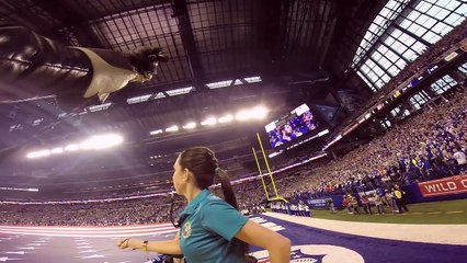 Challenger, the Free-Flying Bald Eagle (AEF)