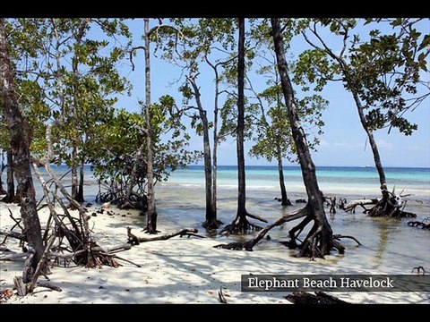 Holiday Guide Tours - The Leading Andaman Tour Operator in Kolkata