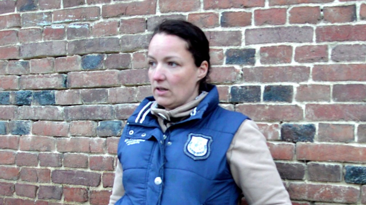 Les trotteurs aiment horseCom