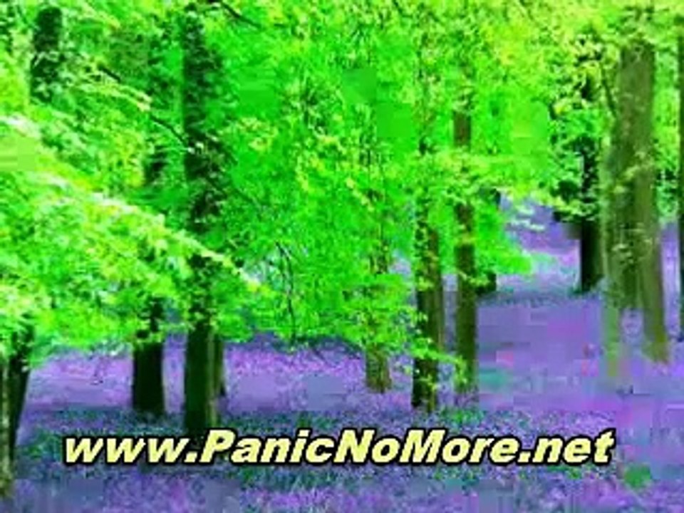 Panic Attack Cures - The Choice to Be Panic Free Starts With You