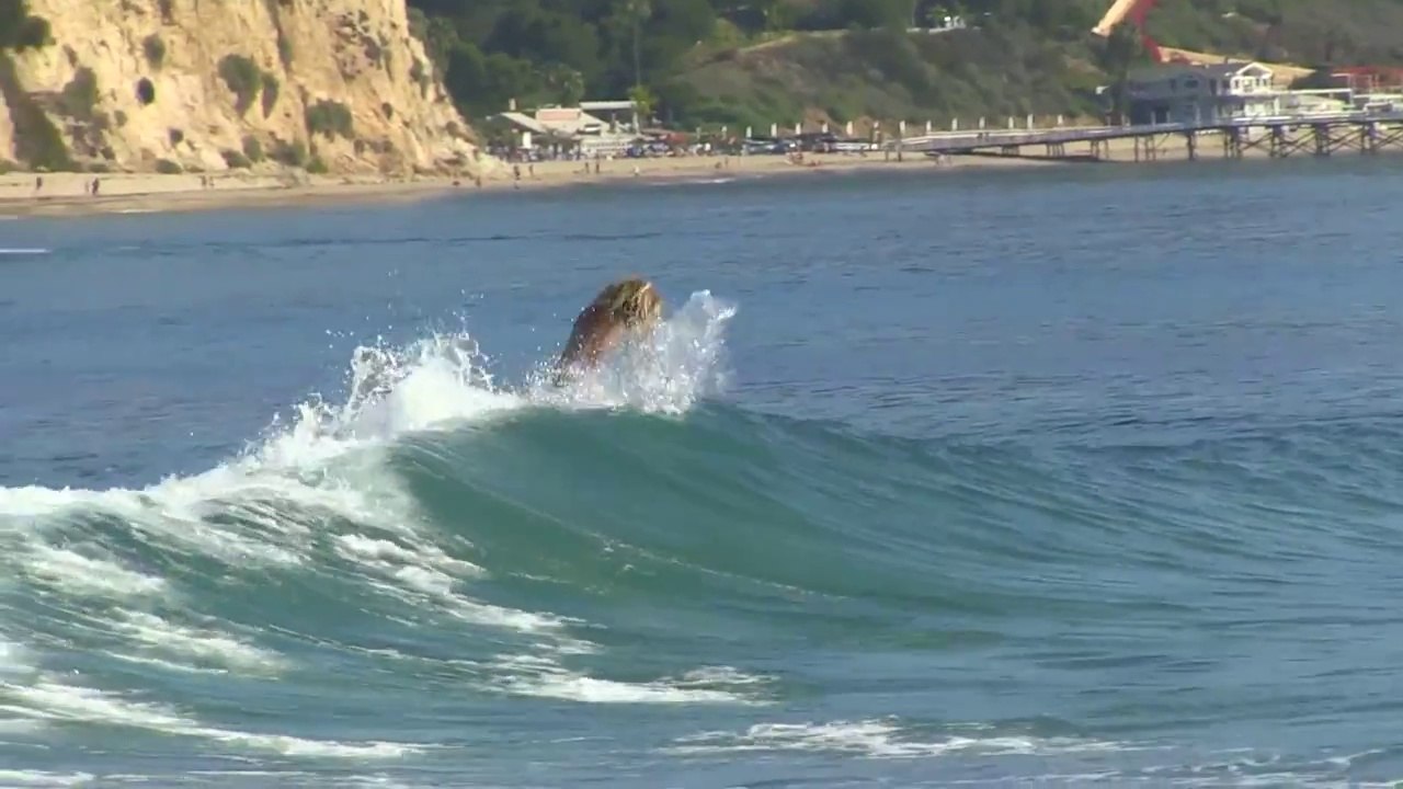 Jack Tenney Professional SkimBoarding Mini Movie (Jack 10e Skims His Apex)