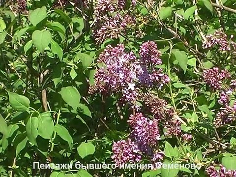 fondsol.ru - Вернись на родину, душа! (С.В. Рахманинов)
