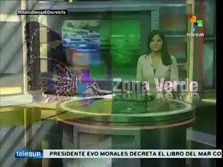 ONU: En el mundo mueren a diario 1,400 niños por falta de agua potable