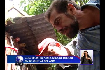 CCSS registra 7 mil casos de dengue durante el 2013