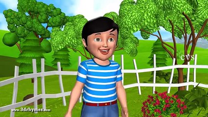 Baa Baa Black Sheep - 3D Animation English Nursery rhyme for children with lyrics(ipad)