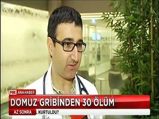 Domuz gribinden ölü sayısı 30'a yükselince Sağlık bakanı 'Salgın var' dedi