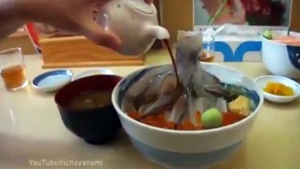 Ölü mürekkep balığı canlandı