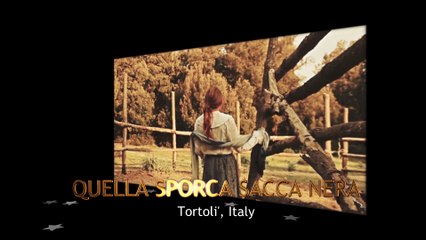 Nominees for VWF 2015 Best Foreign