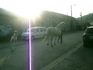 sia et freyja 2ème sortie