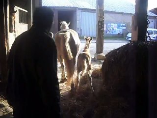 freyja et sia 2ème sortie