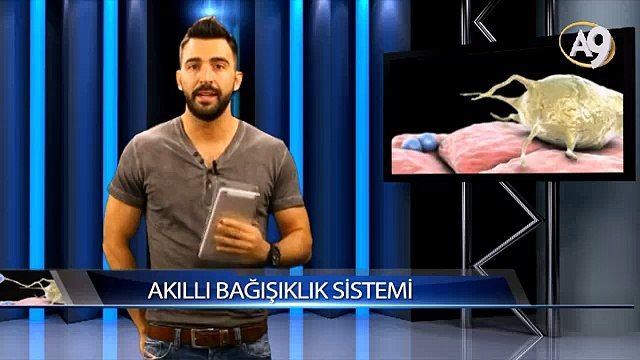 Bilgi Küpü: Akıllı Savunma Sistemi