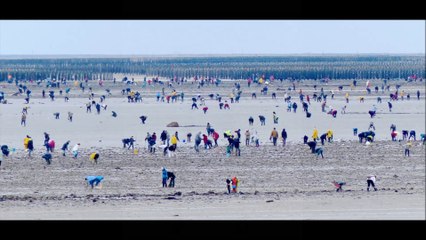 GRANVILLE MAREE DU SIECLE MARS 2015