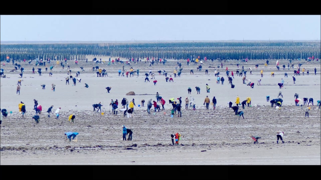 GRANVILLE MAREE DU SIECLE MARS 2015