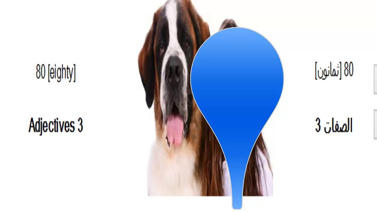 80  lessons in Arabic language reading writing and speaking