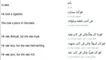 81  lessons in Arabic language reading writing and speaking