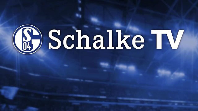 Jefferson Farfán fue ovacionado por la hinchada del Schalke 04 tras volver a jugar