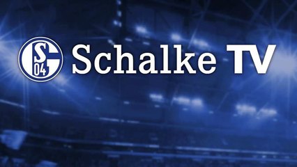 Jefferson Farfán fue ovacionado por la hinchada del Schalke 04 tras volver a jugar