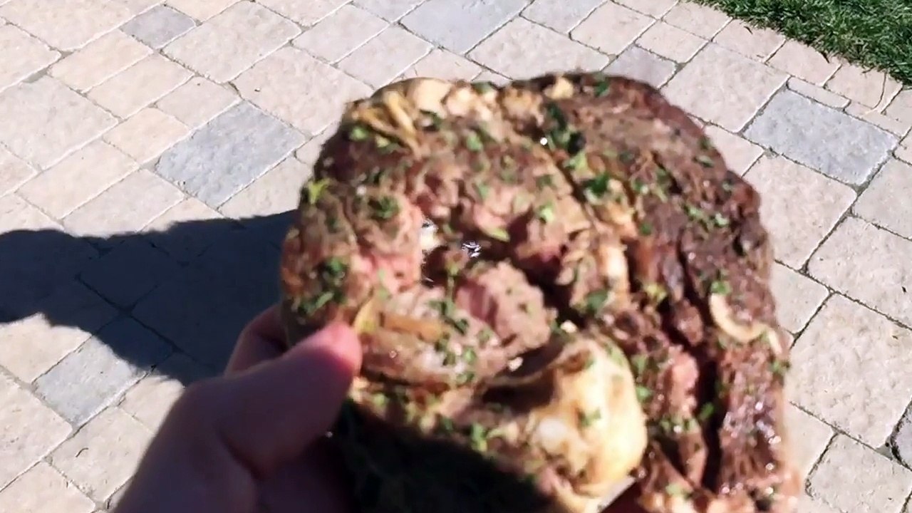 Un chien apprend à attraper de la nourriture - Slow motion