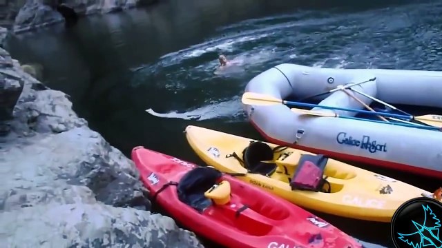 Fail Videoları, Komik Videolar, Kaza Videoları - Ekim 2014 [HD]