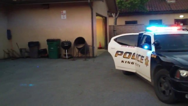 Un chiot policier à l'entrainement arrête un suspect